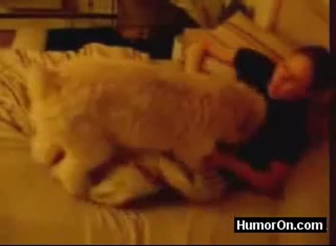 Video: Cute dog fucking pet owner in beastiality pet porn