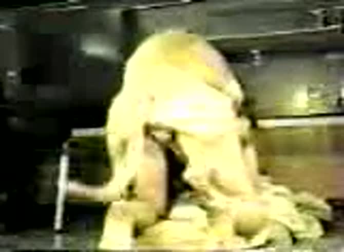 Video :Free beastiality sex video of dog fucking a girl
