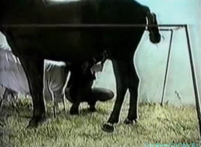 Video :Kinky slut visits the farm to play with horse dick