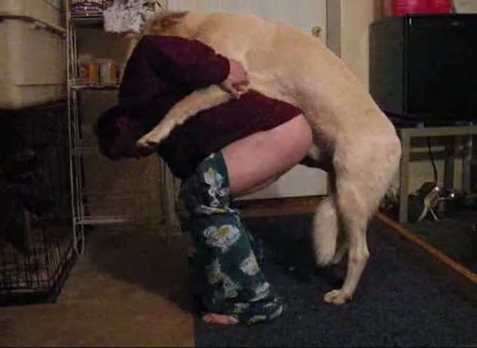 Video :Dog orgasm inside the ass of amateur beastiality lover