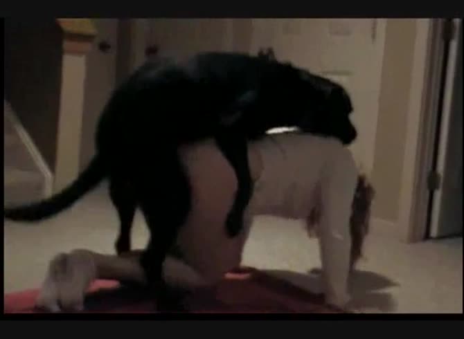 Video :Dog porno of a kinky teen enjoying dog sex from behind