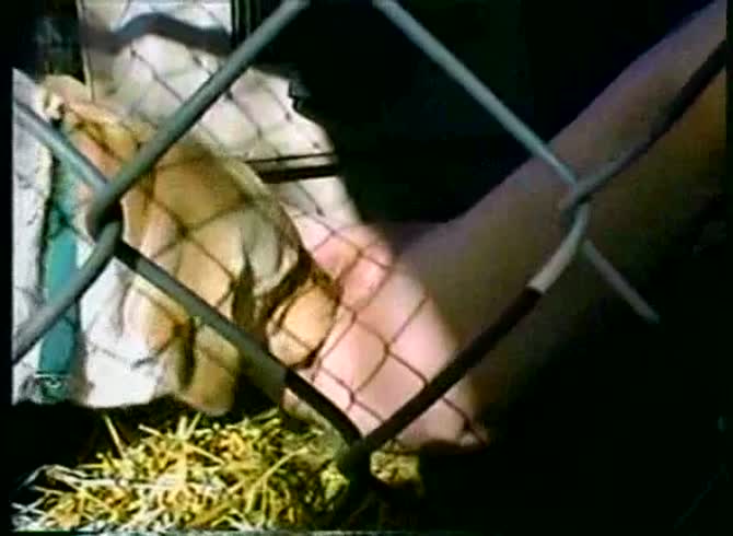Video :Dog got jacked off by beastie gal