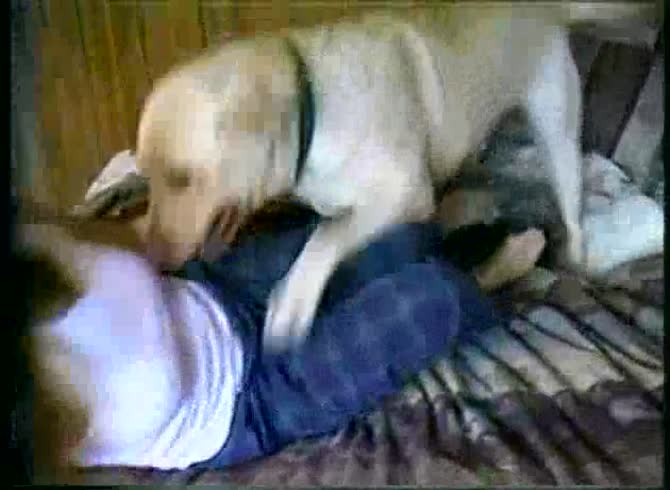 Video :Dog dick got rode on by a kinky lady