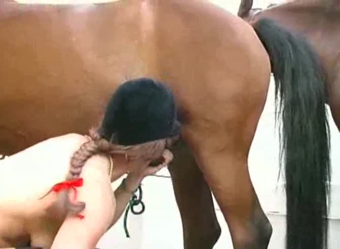 Video :Horse dick penetrating and thrusting the whore's pussy