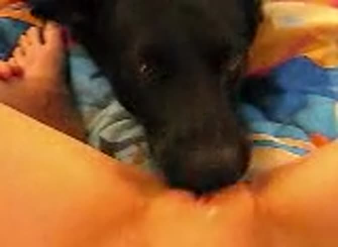 Video :Tatted chick got pussy eaten by dog before dog sex