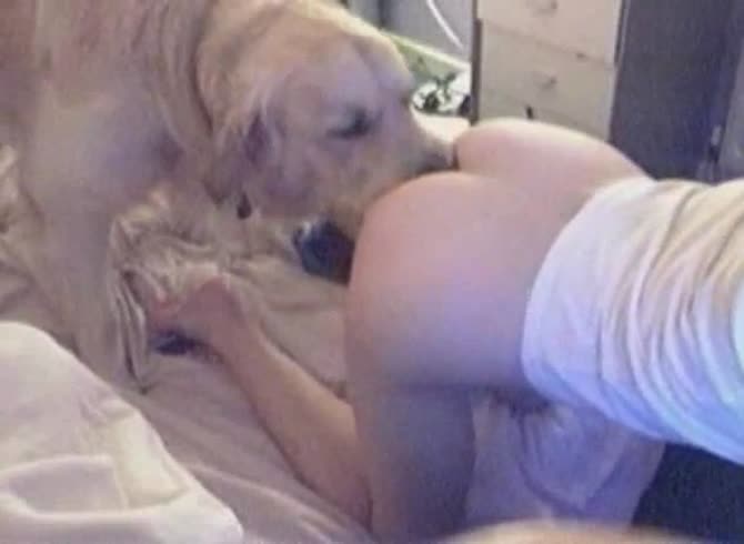 Video :Dog eating the wet pussy of a beautiful teen