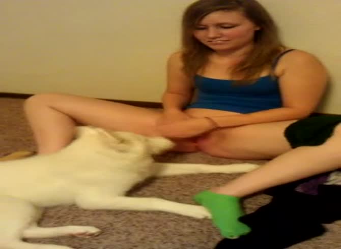 Video :Dog licking the pussy of young teen beastiality lover