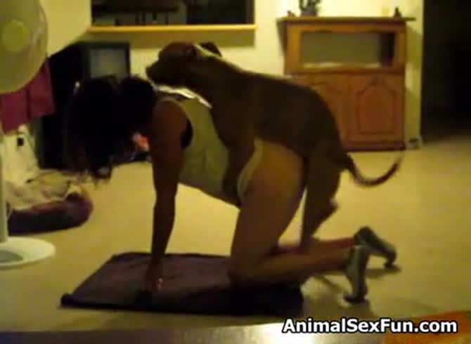 Video :Kinky slut getting smashed by dog in animal porno