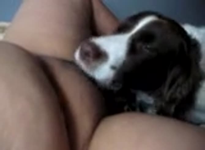 Video :Fat whore getting pussy eaten and licked by a dog xxx