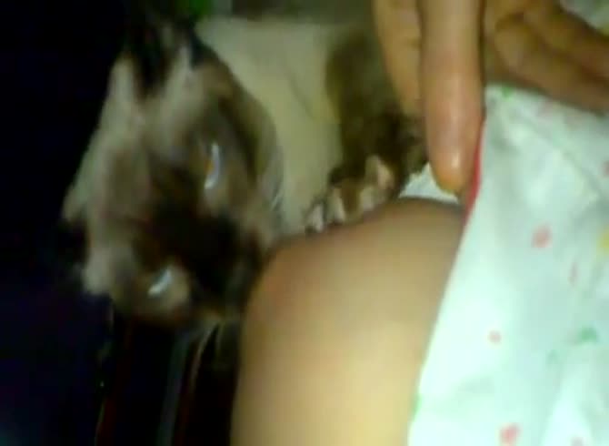 Video :Cat sucking the tits of a naughty pet owner in pet porn