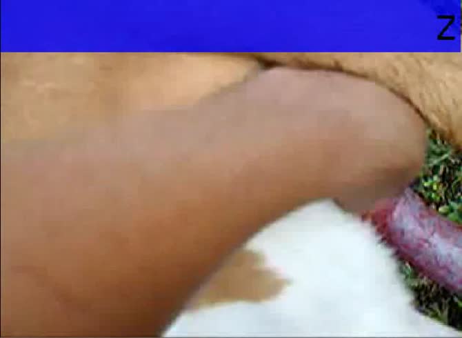 Video :Big dog dick got grabbed by naughty dude