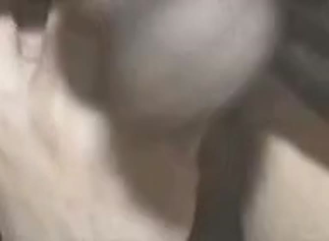 Video :Homemade dog porno with slut's hairy pussy getting smashed