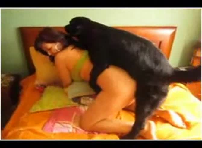 Video :Busty teen beastiality lover having sex with dog