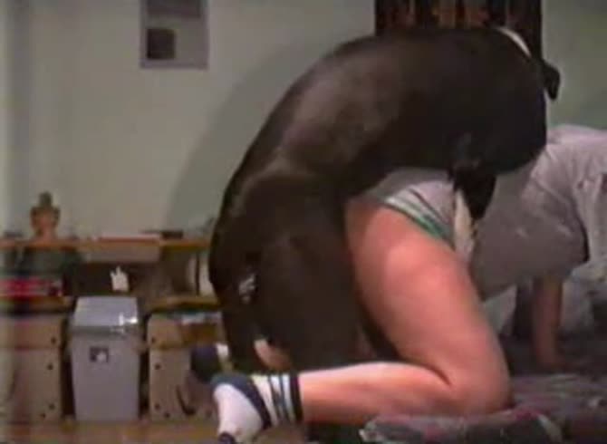 Video :Gay animal anal sex video with a black dog