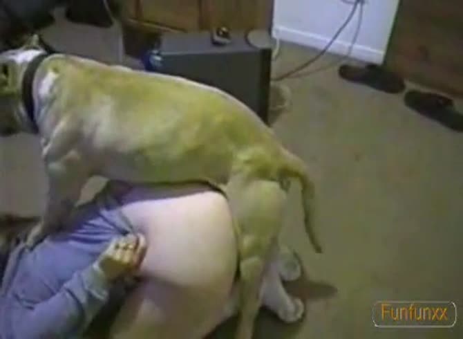 Video :Zoofilia lover big ass slut got fucked by dog