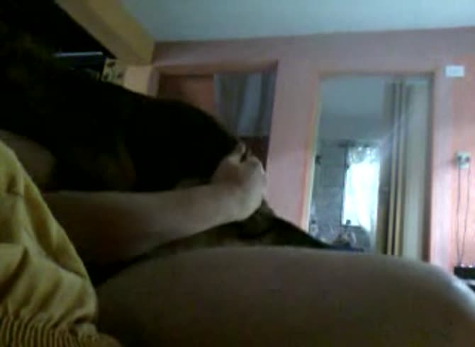 Video :Dog dick fucking and pounding a slut in homemade dog sex