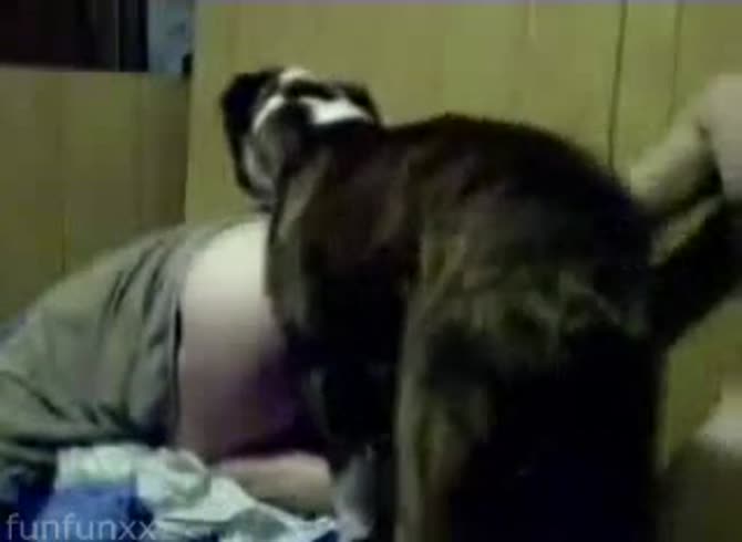 Video :Beastie gal and boyfriend having beastiality threesome