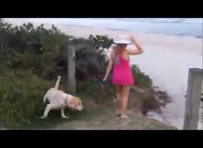 Video :Zoophilia porn video of a sexy lady having sex with dog outdoors
