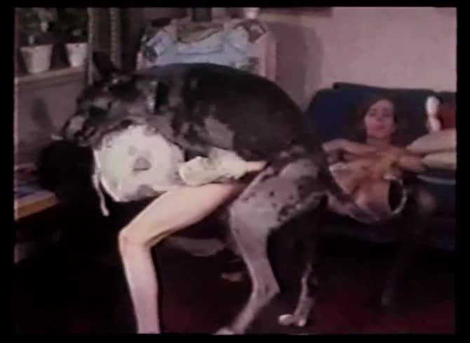 Video :Sexy and hot ladies grouping up to have dog sex