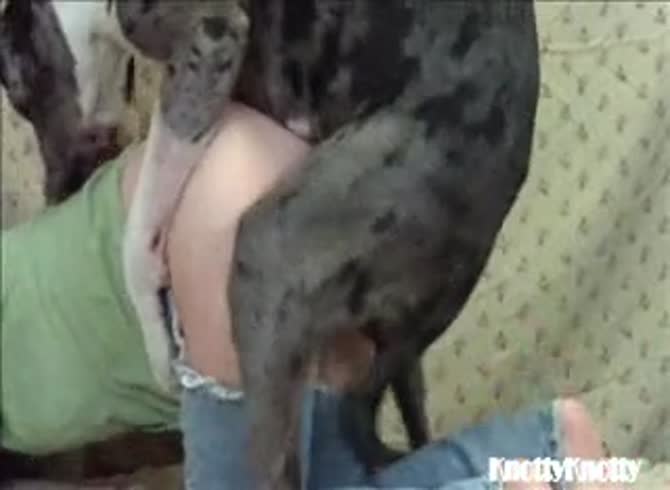 Video :Big ass girl got smashed by a black dog xxx
