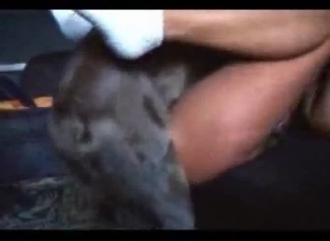 Video :Beastie gal opening wide her pussy for dog sex