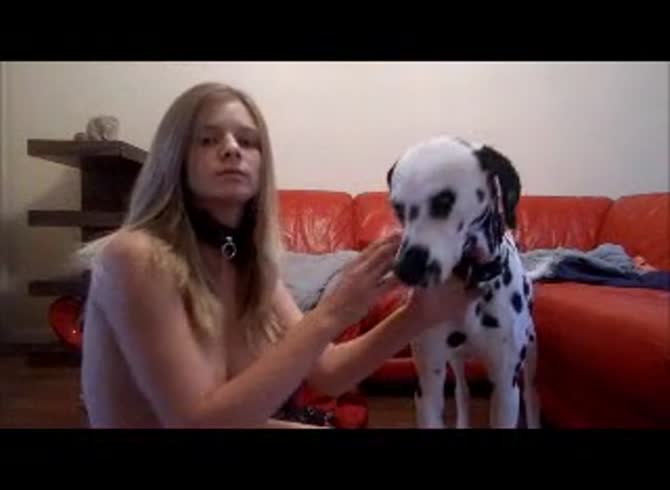 Video :Blonde teen getting dog oral sex from Dalmatian