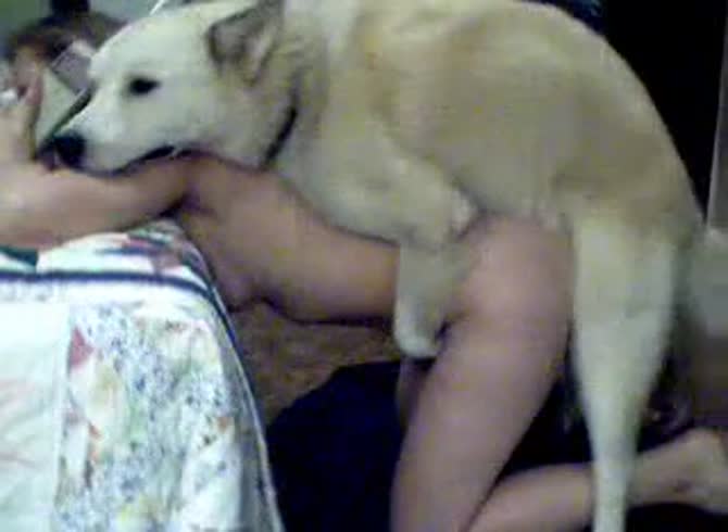 Video :Big dog dick hard fucking amateur beastiality lover