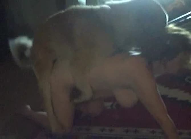 Video :Big tits teen got fucked in beastiality porno by dog