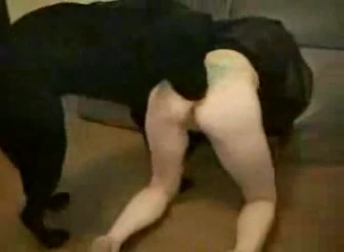 Video :Dog oral sex with slut's hole and pussy getting sniffed