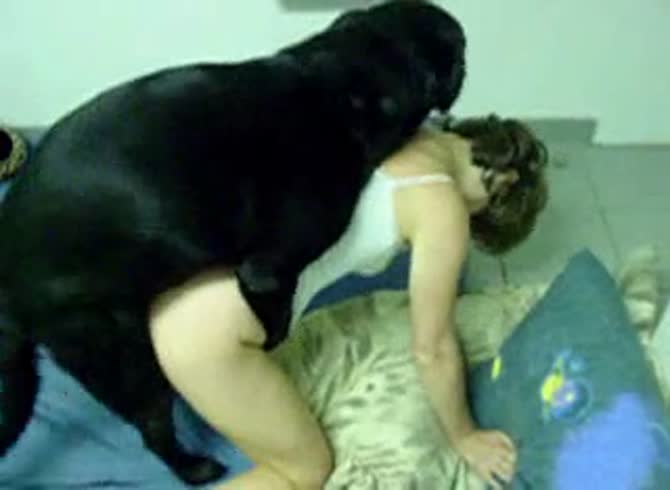 Video :Skinny teen getting banged on the bed in dog porno