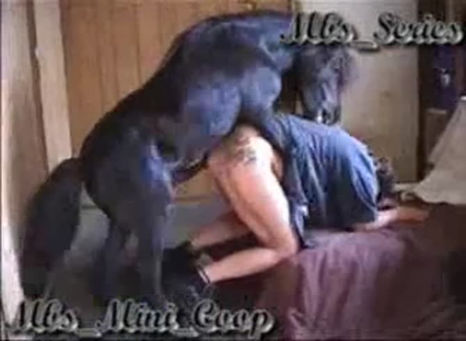 Video :Horse dick wrecking the butthole of gay whore