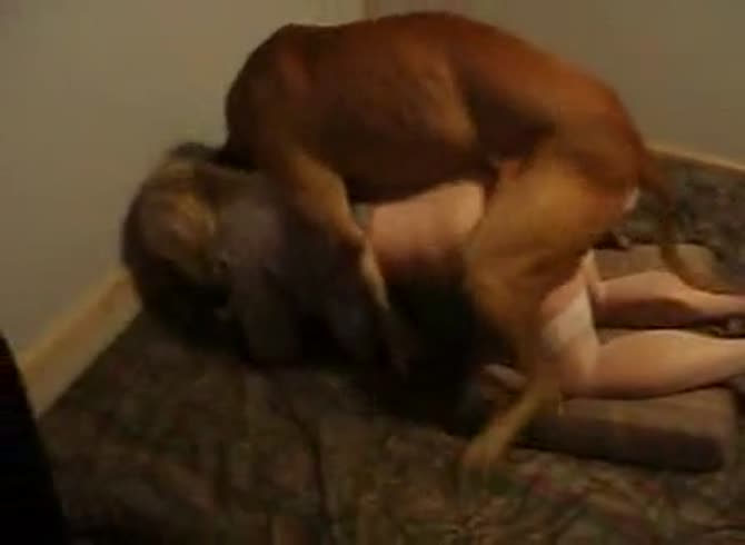 Video :Brown dog fucking a skinny teen from behind until orgasm