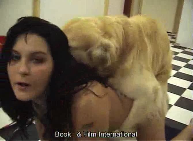 Video :Beautiful brunette teen animal sex video with dog