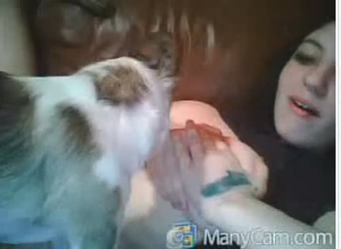 Video :Homemade beastiality porn video of webcam babe getting dog licked in the pussy