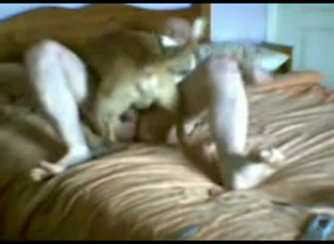 Video :Dog fucking a gay in the ass in animal anal sex