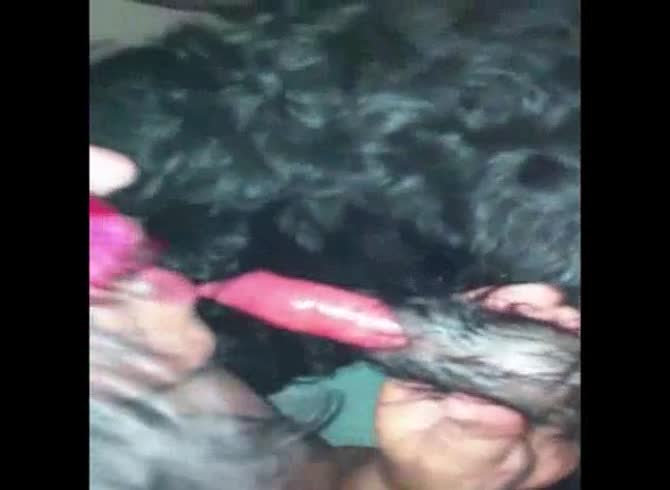 Video :Big dog dick got sucked and jacked off